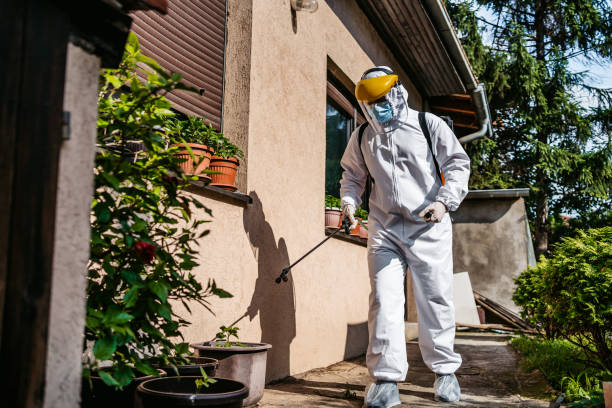 Best Flea Control Services  in Cedartown, GA