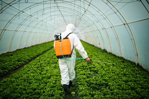 Insect Control in Cedartown, GA