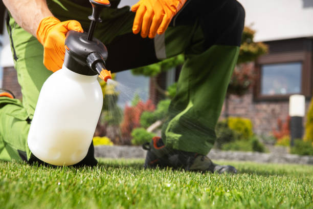 Best Mosquito Control Services  in Cedartown, GA