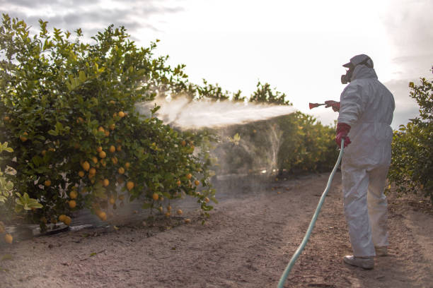Professional Pest Control in Cedartown, GA