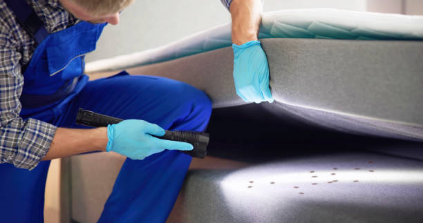 Flea Control Services in Cedartown, GA