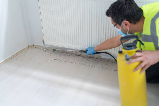Pest Prevention Services in Cedartown, GA