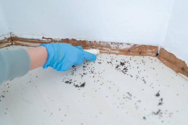Best Commercial Pest Control Services  in Cedartown, GA