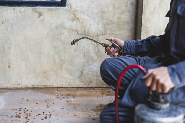 Best Exterminator Services  in Cedartown, GA