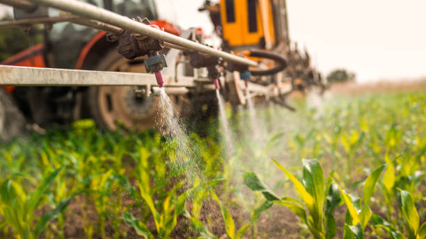 Best Ant Control Services  in Cedartown, GA